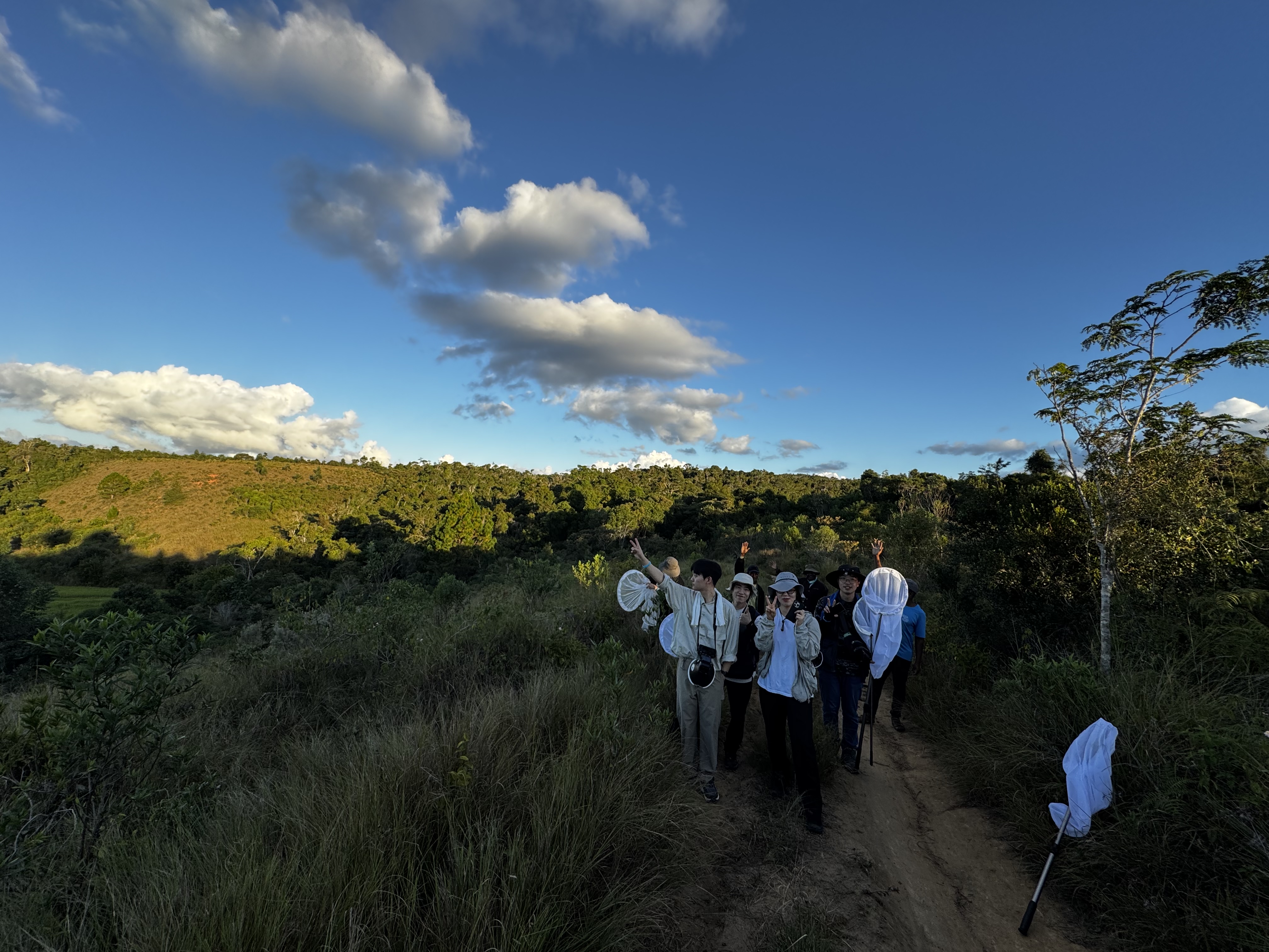 The landscape of Madagascar